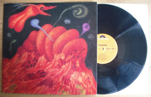 BRAUER, ARIK - ARIK BRAUER (used) - LP
