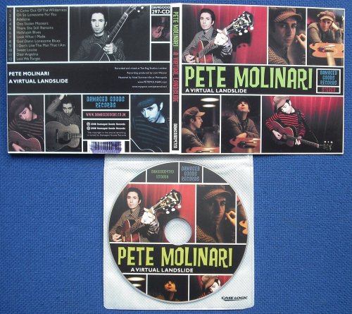 MOLINARI, PETE - A VIRTUAL LANDSLIDE (used) - CD